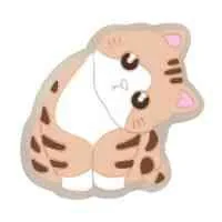 Bitpin LED Gatos
