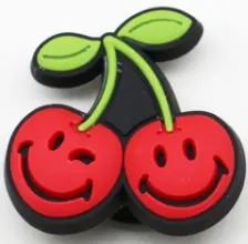 Bitpin PVC-09